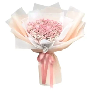 600_mody3rcm4uoajbkiwhj6n6d7a